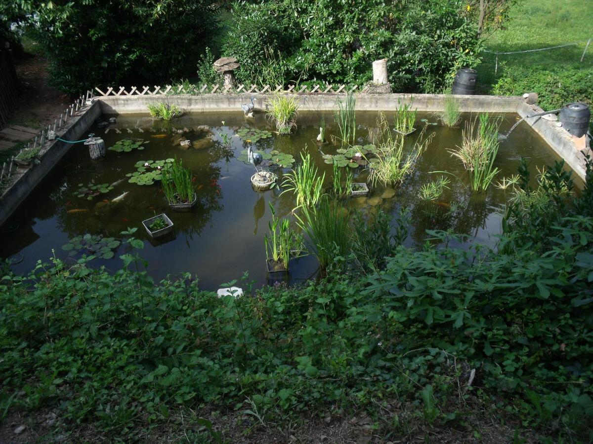 Domaine De La Provenc'Ane Villa Salernes Exteriör bild