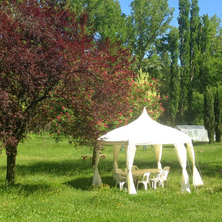 Domaine De La Provenc'Ane Villa Salernes Rum bild